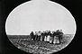 Doukhobor women pulling a plough on the Thunder Hill Colony, Manitoba, ca. 1899