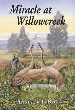 Image de la couverture : Miracle at Willowcreek