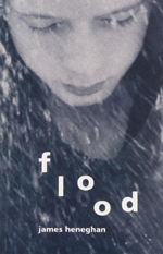 Couverture du livre, Flood